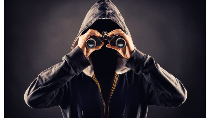 Stalker 800x450