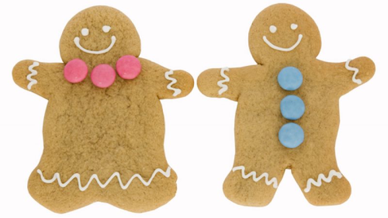 I Am Not A Cookie 800x450