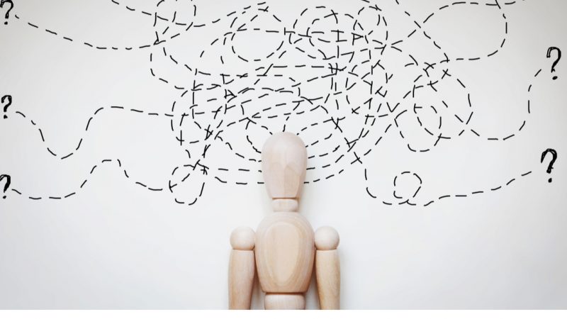 Shutterstock 369093563 1 800x450