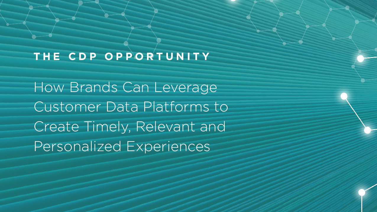 The CDP Opportunity - Tealium