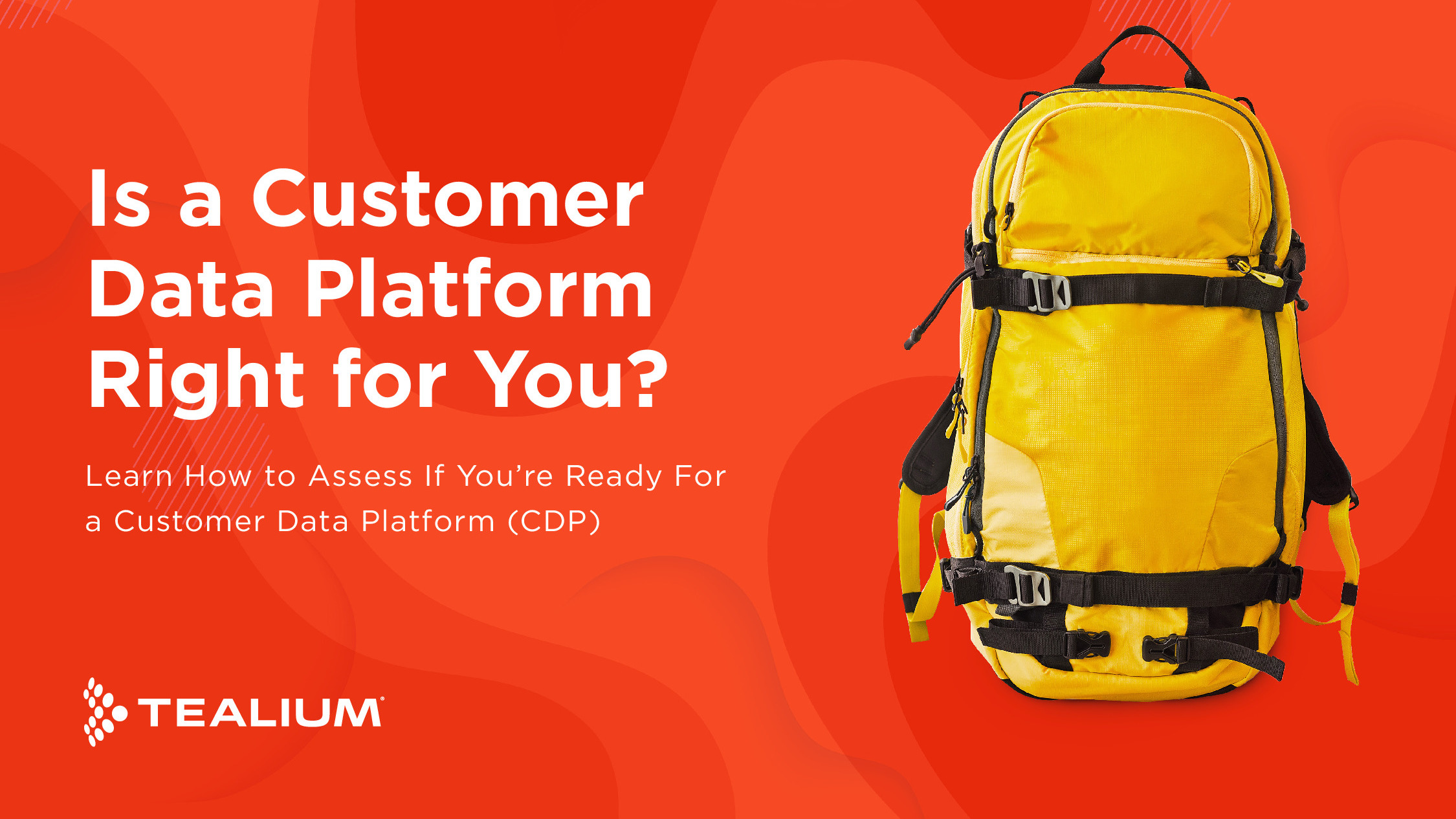 Is a Customer Data Platform Right for You - Tealium