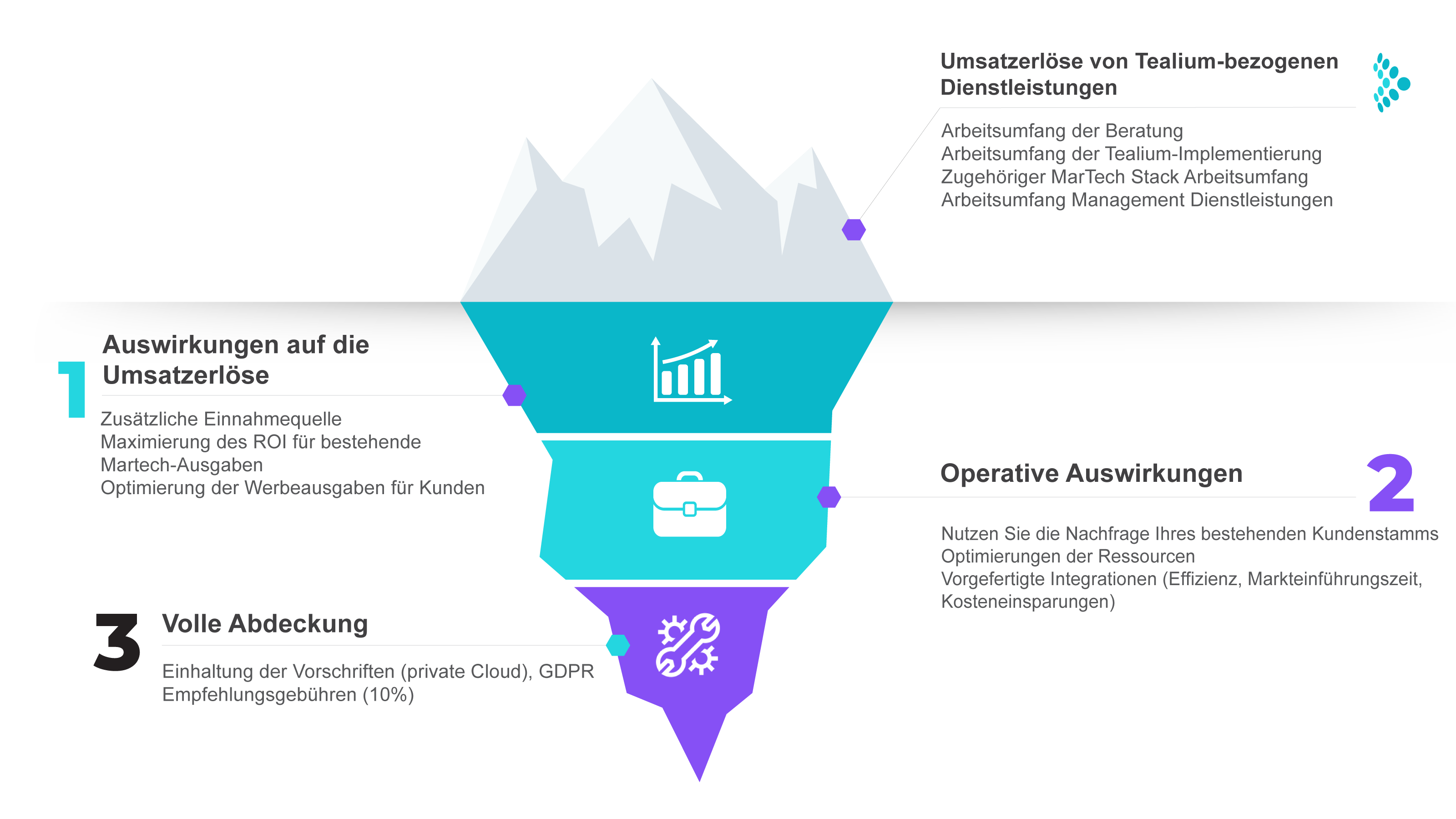 partner-iceberg-de The Partner Iceberg - German