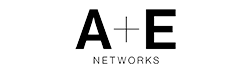 a-e-networks-logo-250x70-1