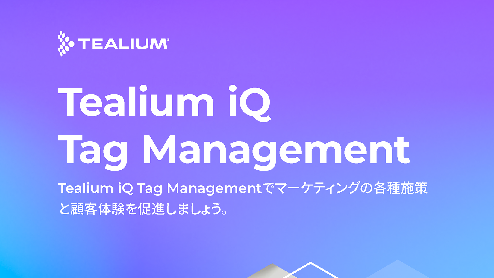 Tealium iQ タグマネジメント（Tag Management ） - Tealium JA